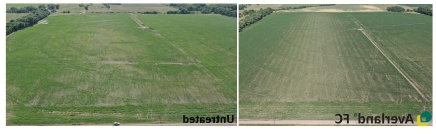 Field comparison